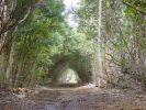 Moalepe Trail